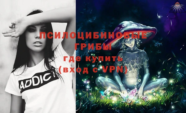 mdpv Балахна