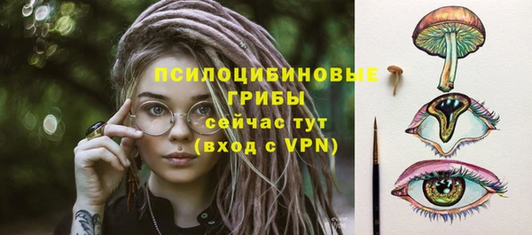 гашик Балабаново