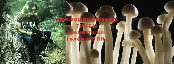 гашик Балабаново